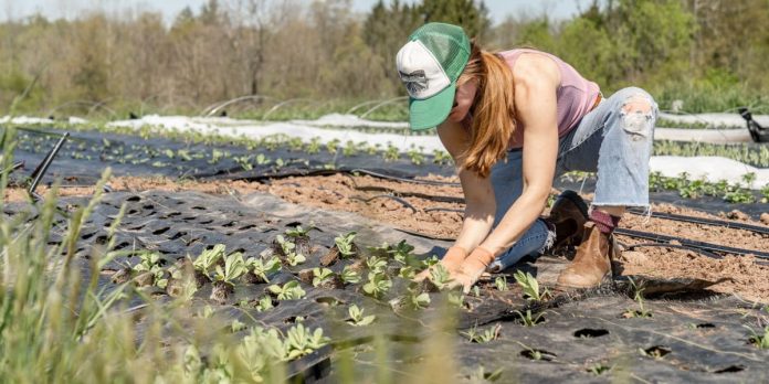 Regenerative Sustainability